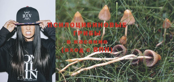 гашиш Бородино