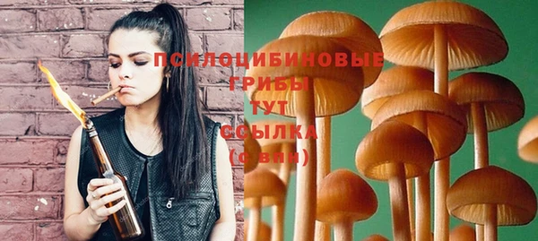 гашиш Бородино