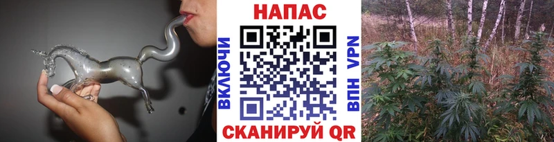 МАРИХУАНА план Черкесск